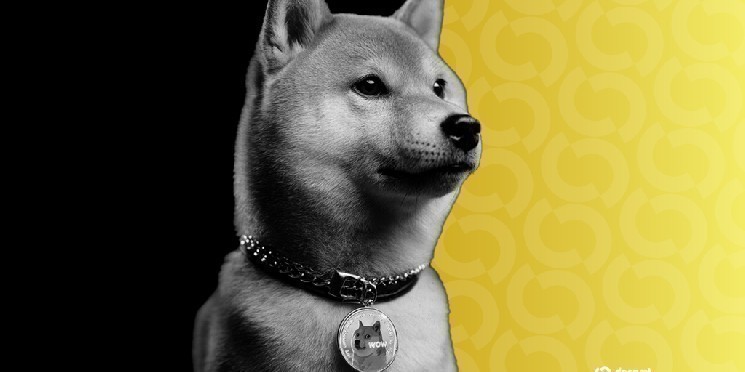 Why Is Dogecoin Down So Much Worse Than Bitcoin and Ethereum?