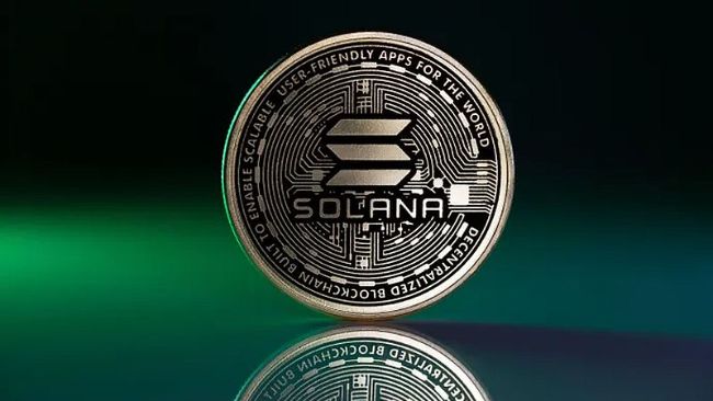 Solana treasury firm DeFi Development boosts SOL holdings nearly 5%, pays average of $110 per token