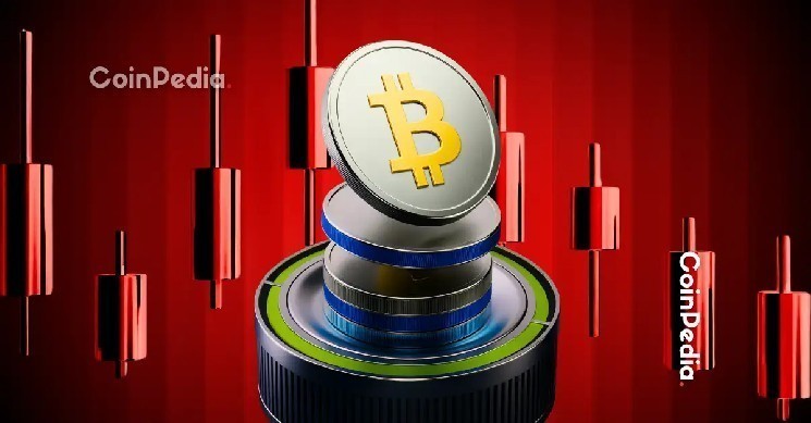 Altcoins Hold Strong as Bitcoin Falls 24% in November 